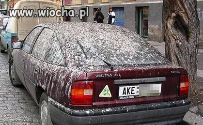 Ciekawe za którym razem myjnia chwyci
