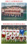 Orły Górskiego i wróbelki Fornalika