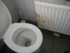 Musiał być mokry bąk 