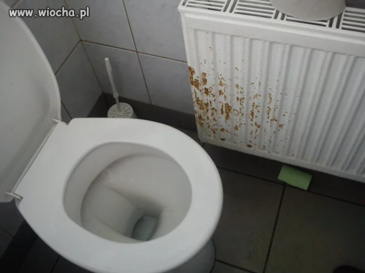 Musiał być mokry bąk 