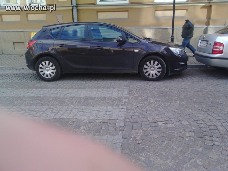Miszcz parkowania