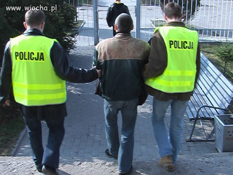 Takich to tylko zabić...