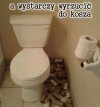 Szczyt lenistwa