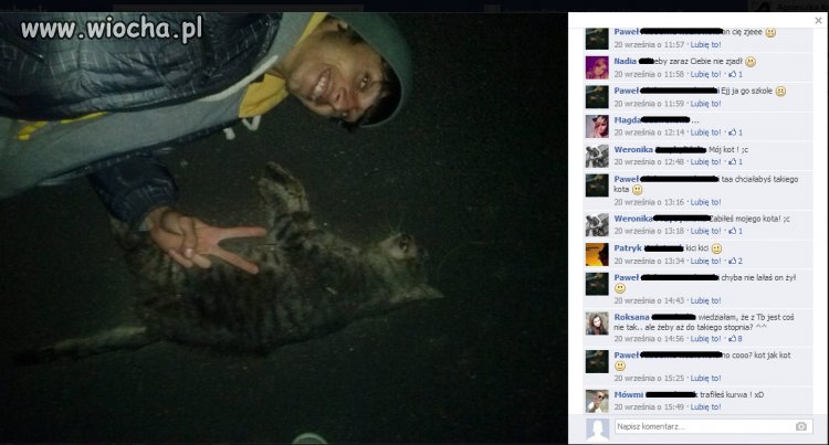 Trzeba być debilem, żeby umieszczać coś takiego...
