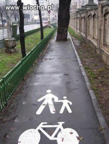 Czy to drzewo wyrosło w jedną noc