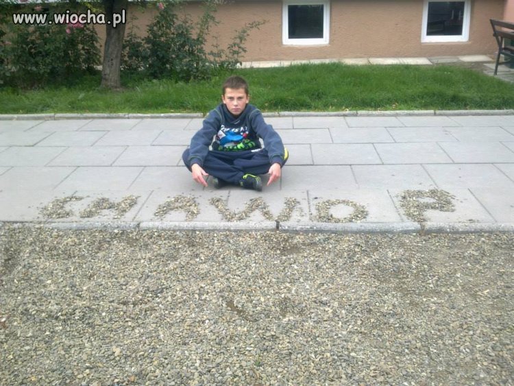 CHAWDP 