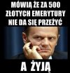Złote myśli Tuska