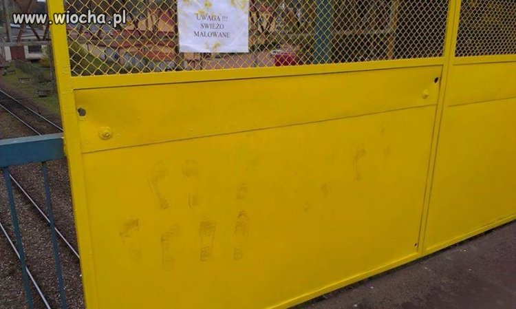 Musieli sprawdzić czy aby na pewno Świeżo Malowane