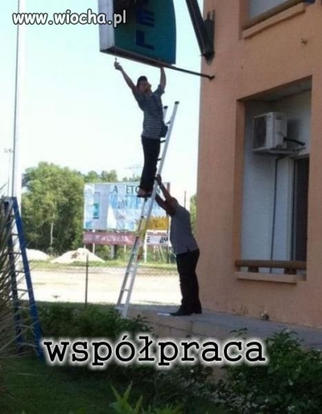 Zaufanie dobra rzecz