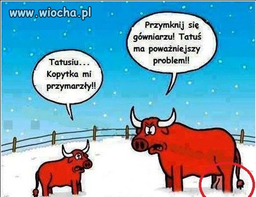 Zima już się zbliża 