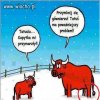 Zima już się zbliża 