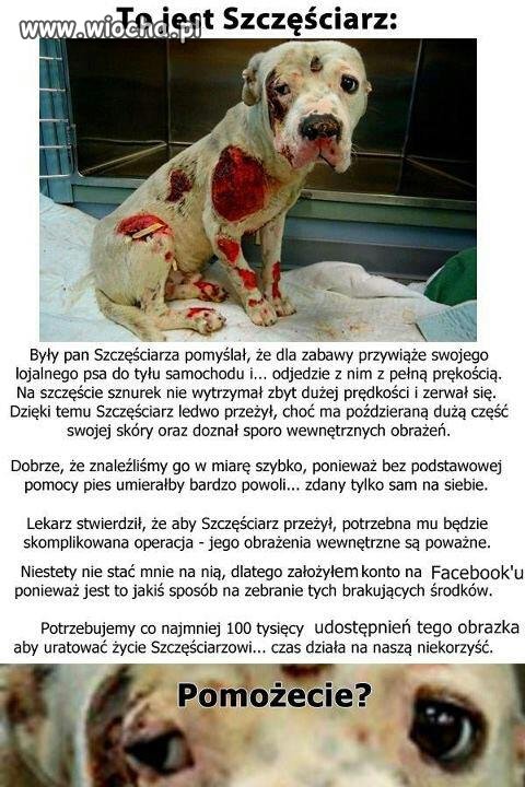 Nie nazwał bym jego pana człowiekiem...