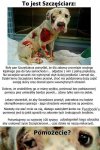 Nie nazwał bym jego pana człowiekiem...