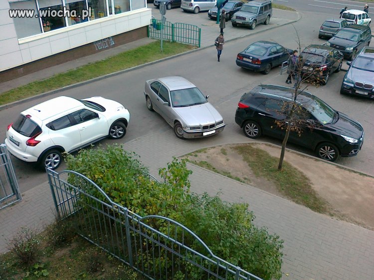 Mistrz parkingu