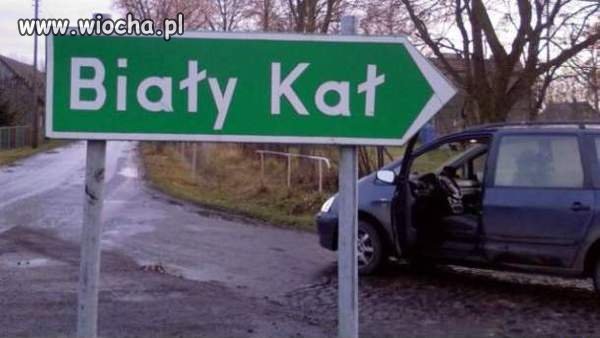 Brawa dla autora