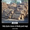 To jest pomysł