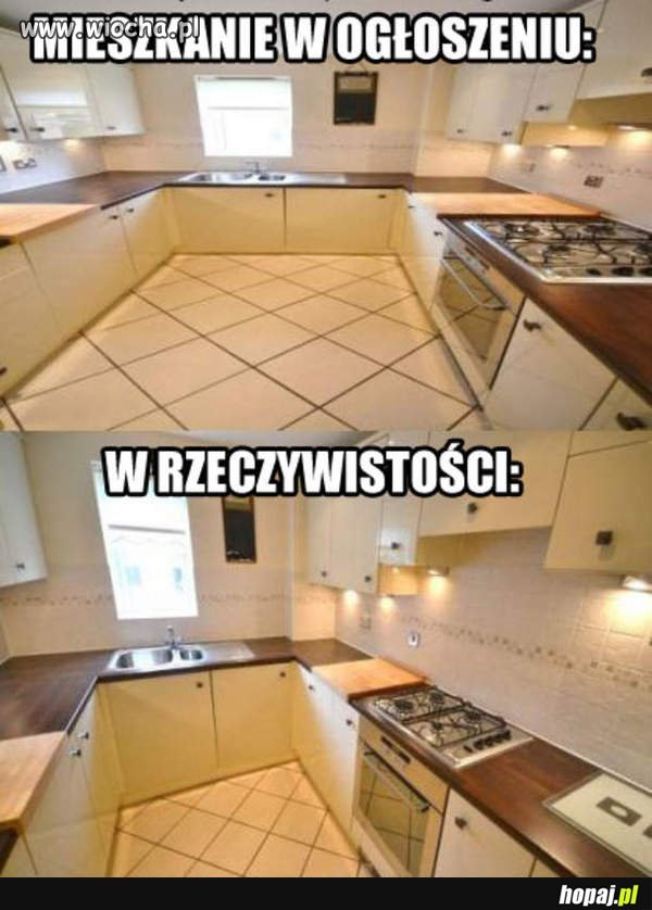 Photo szopkowa magia