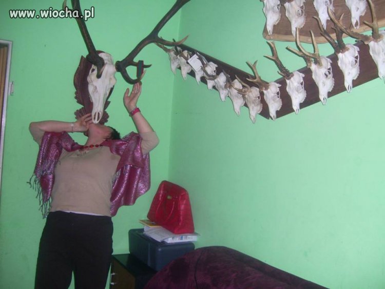 Buzi buzi ... 