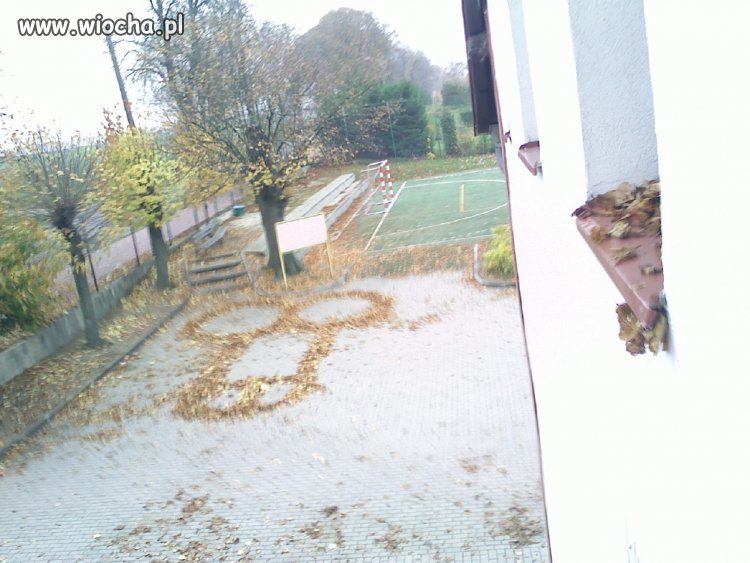 Karniak z liści