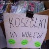 Polska ortografia