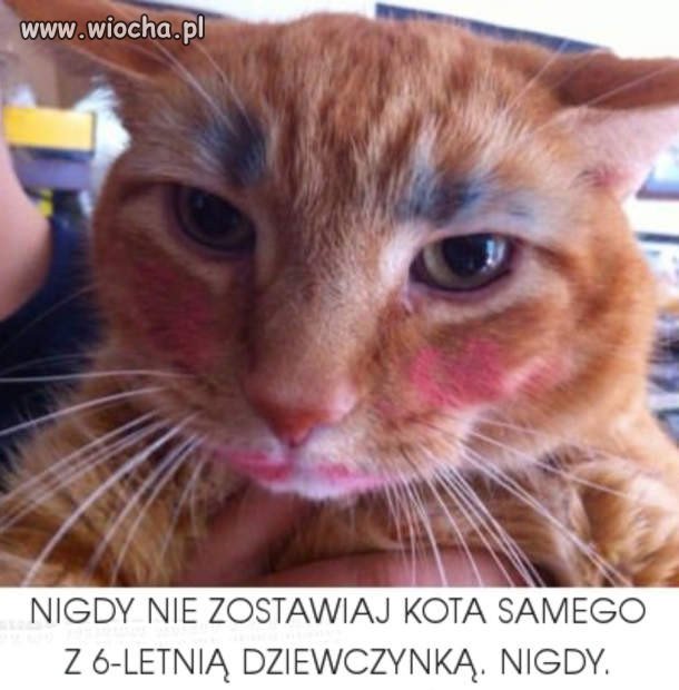 Nigdy nie zostawiaj kota