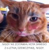 Nigdy nie zostawiaj kota