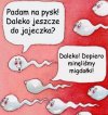 Dokąd iść?