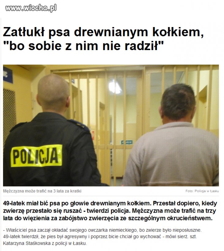 Zatłukł psa