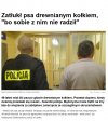 Zatłukł psa