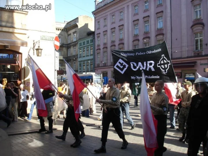 Moje polskie dzifffki.