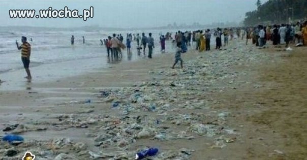 Plaża, dzika plaża, morze dookoła...