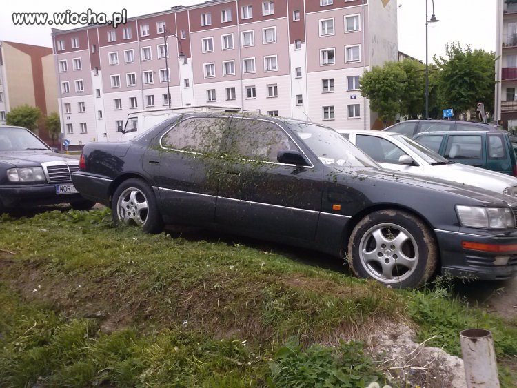 Tak koszą trawę w Ełku