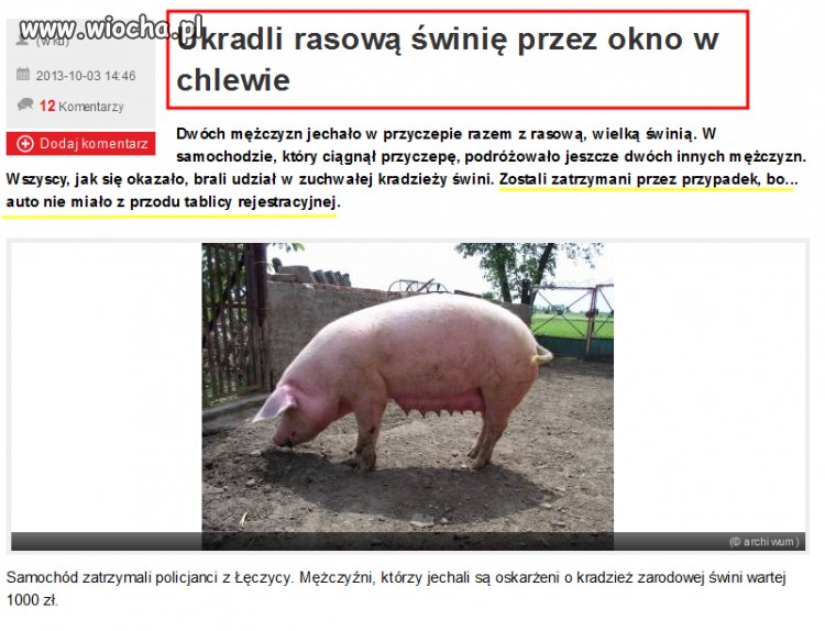 Przypadki chodzą po ludziach