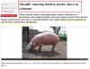 Przypadki chodzą po ludziach