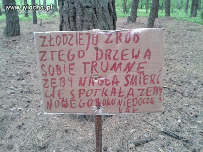 Złodzieju zrób sobie trumnę... 