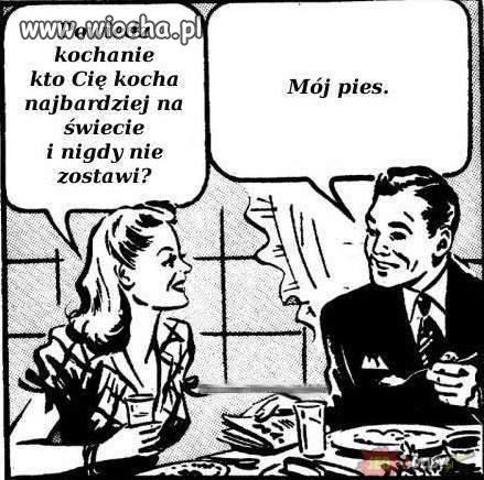 Od dzisiaj twój pies myje naczynia!