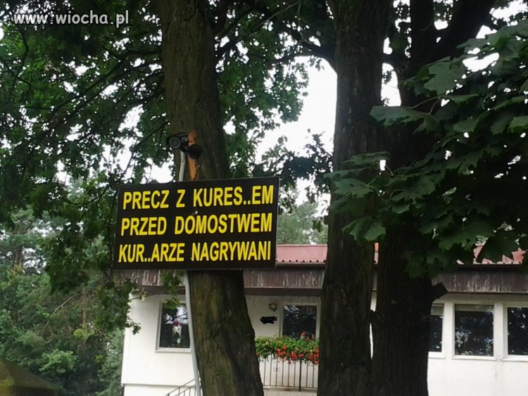 Miał dość prostytutek przed domem 