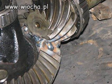Widzieliście takiego durnia ?