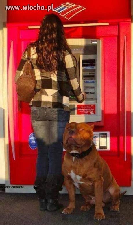 Bodyguard na sterydach!