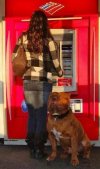 Bodyguard na sterydach!