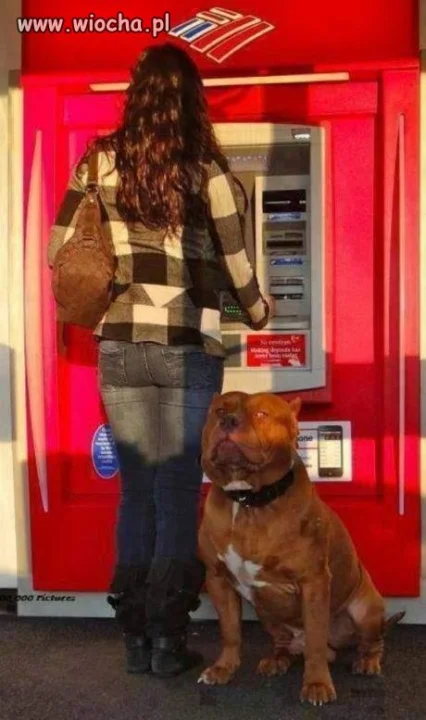 Bodyguard na sterydach!