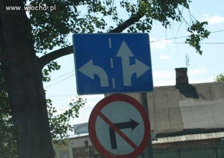 Polska organizacja 