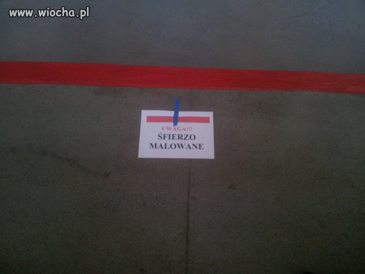 Uwaga sfierzosc!
