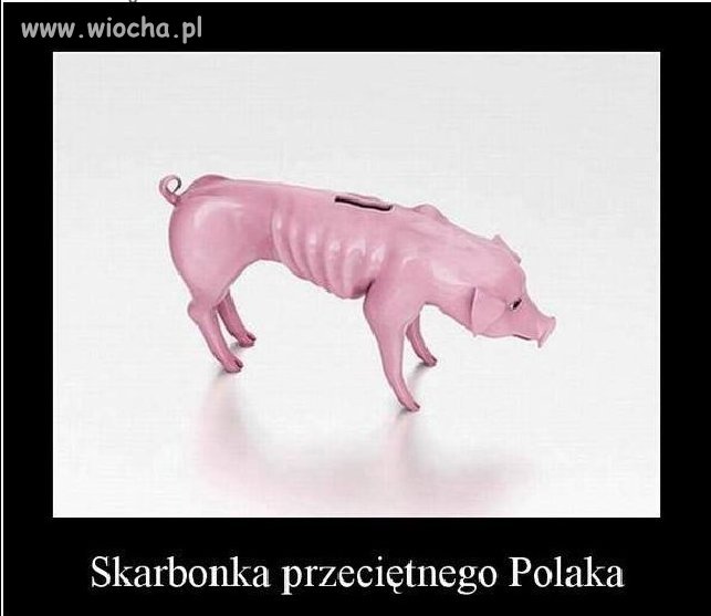 Skarbonka przeciętnego Polaka