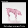 Skarbonka przeciętnego Polaka