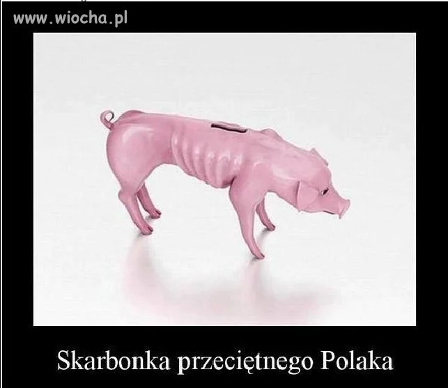 Skarbonka przeciętnego Polaka