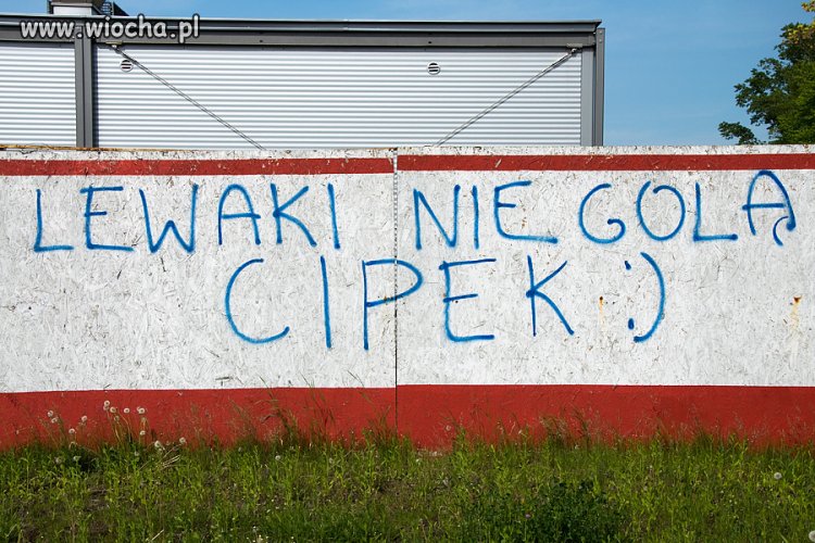 Prawda czy fałsz ?