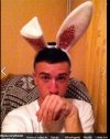 Króliczek playboya