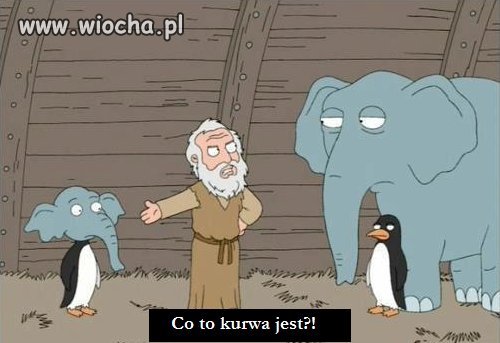 Zwierzęta