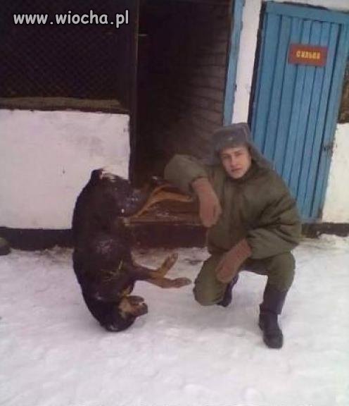 Zamarznięty